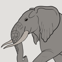 Thumbnail for ANI-1759: GoldenFire (M)