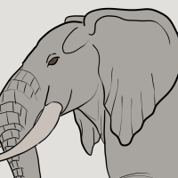 Thumbnail for ANI-2805: Zoey (F)