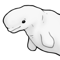 Thumbnail image for ANI-5196: Bubbles