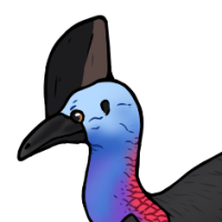 Thumbnail image for ANI-5198: Toenail