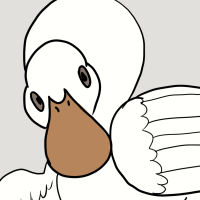 Thumbnail for ANI-2390: Domestic Duck Pekin  (F)