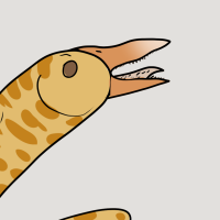 Thumbnail for ANI-2825: Rodney (M)