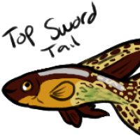 Thumbnail for ANI-5219: Carlos