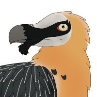 Thumbnail for ANI-3565: Marrow