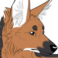 Thumbnail for ANI-5249: Maddie