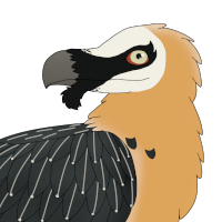 Thumbnail for ANI-3565: Marrow