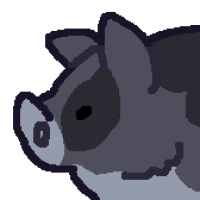 Thumbnail of ANI-5255: Domestic Hog Kunekune (M)