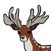 Thumbnail for ANI-5260: Persian Fallow Deer (M)