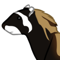 Thumbnail for ANI-5262: Marbled Polecat Western  (M)