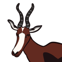 Thumbnail for ANI-5264: Bontebok (M)