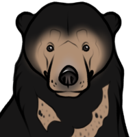 ANI-5167: Sun Bear (F)