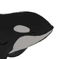 Thumbnail for ANI-5272: Ila