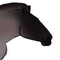 Thumbnail for ANI-5273: Catalina