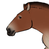 Thumbnail for ANI-5274: Guillermo