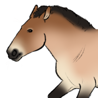 Thumbnail for ANI-5278: Erdene