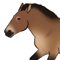 Thumbnail for ANI-5280: Baatar