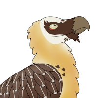 Thumbnail for ANI-5311: Humerus