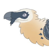 Thumbnail for ANI-5316: Femur