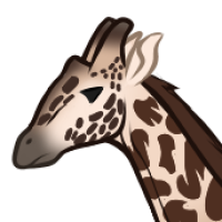 Thumbnail for ANI-5317: Masai Giraffe (M)