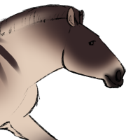 Thumbnail for ANI-5321: Western Horse (M)