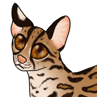 Thumbnail for ANI-5333: Gimble