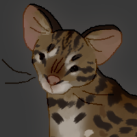 Thumbnail for ANI-5334: Moncaiba