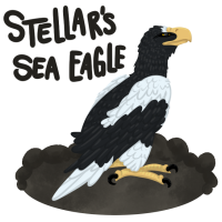 Thumbnail for ANI-428: Stella - Steller's Sea Eagle [F]