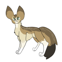 Thumbnail for ANI-460: Fennec Fox (F)
