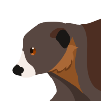 Thumbnail image for ANI-483: Rufus