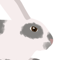 Thumbnail image for ANI-486: Cookie