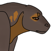 Thumbnail for ANI-489: Vidalia