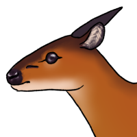 Thumbnail for ANI-5335: Diva