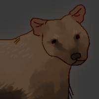 Thumbnail for ANI-5336: Mudpie