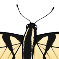 Thumbnail for ANI-5339: Fluttershy