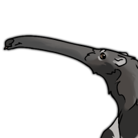 Thumbnail of ANI-589: ❖ Sipp ♀