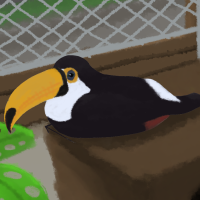 ANI-592: Toupac (Toco Toucan)