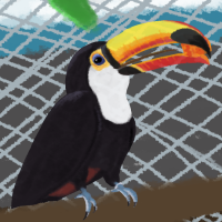 ANI-593: Ripley (Toco Toucan)