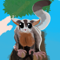 ANI-603: Tinni (Sugar Glider)
