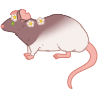 Thumbnail image for ANI-634: Winnie - Fancy Rat (F)