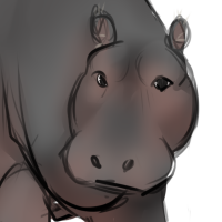 Thumbnail image for ANI-639: Hippopotamus (M)
