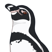 Thumbnail for ANI-768: Galapagos Penguin (F)