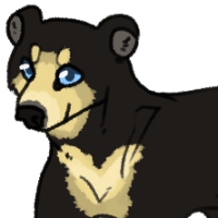Thumbnail image for ANI-786: Suli