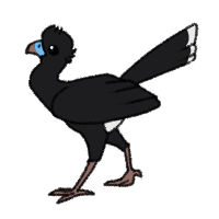 Thumbnail image for ANI-847: Dohler