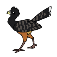 Thumbnail image for ANI-848: Lynn