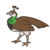 Thumbnail image for ANI-855: Default