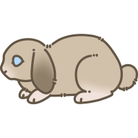 Thumbnail for ANI-885: Jasper - Holland Lop (M)