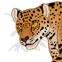 Thumbnail of ANI-933: Jaguar (M)