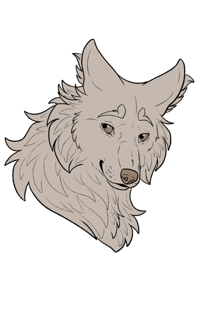 Thumbnail for ANI-1057: Blue & Chocolate  Ethiopian Wolf (M)