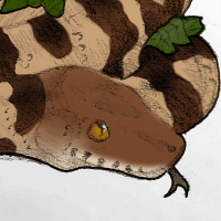Thumbnail image for ANI-1107: julio