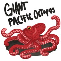 Thumbnail image for ANI-1112: Octavia - Giant Pacific Octopus (F)